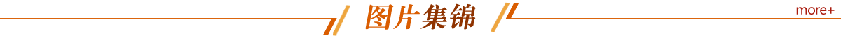 菠菜网最稳定正规平台_最全菠菜网大全