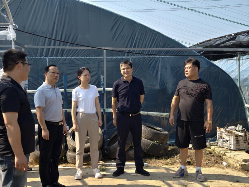 菠菜网最稳定正规平台_最全菠菜网大全