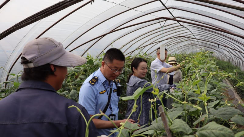 菠菜网最稳定正规平台_最全菠菜网大全