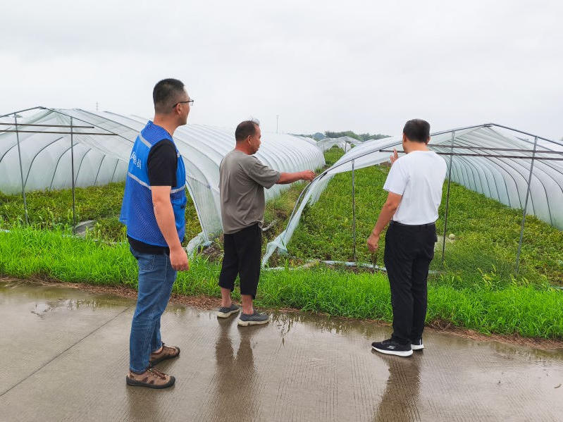 菠菜网最稳定正规平台_最全菠菜网大全