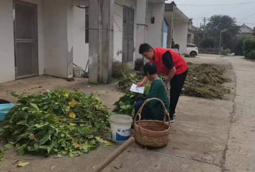 菠菜网最稳定正规平台_最全菠菜网大全
