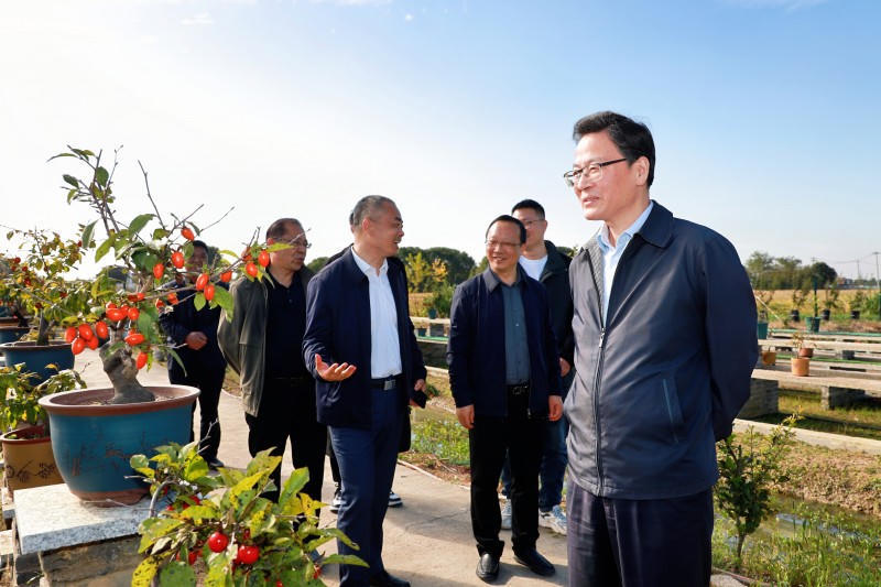 菠菜网最稳定正规平台_最全菠菜网大全