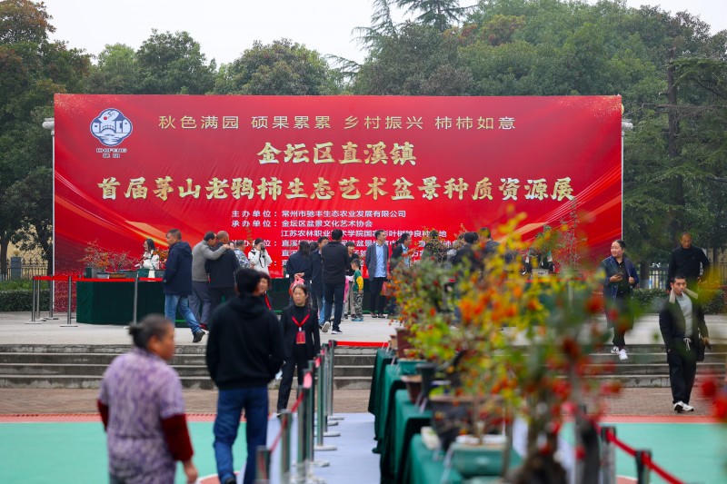 菠菜网最稳定正规平台_最全菠菜网大全