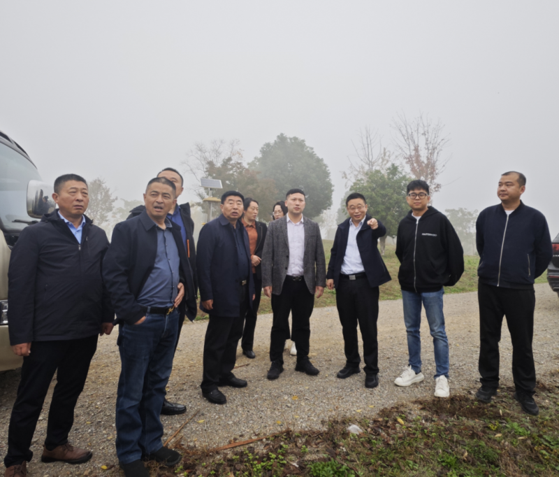 菠菜网最稳定正规平台_最全菠菜网大全