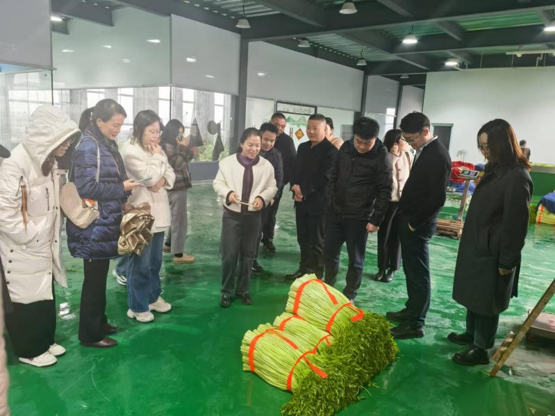 菠菜网最稳定正规平台_最全菠菜网大全