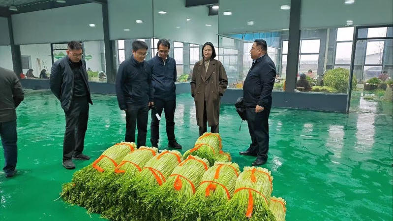 菠菜网最稳定正规平台_最全菠菜网大全
