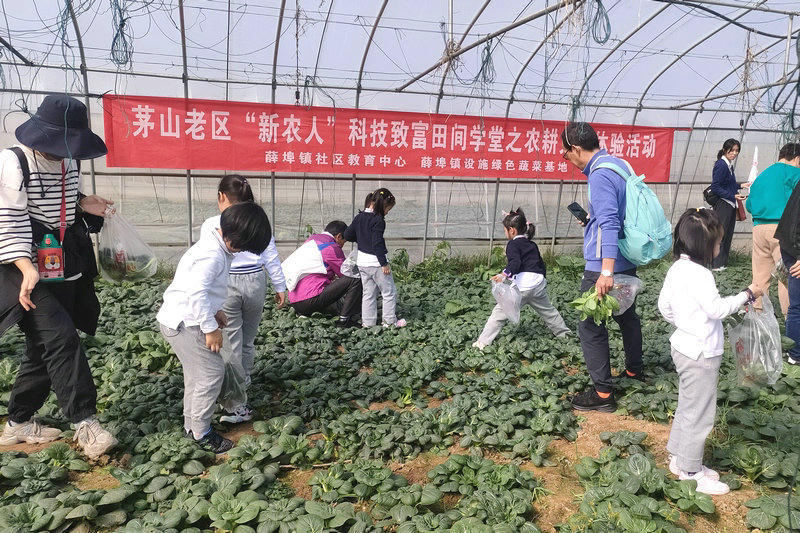 菠菜网最稳定正规平台_最全菠菜网大全