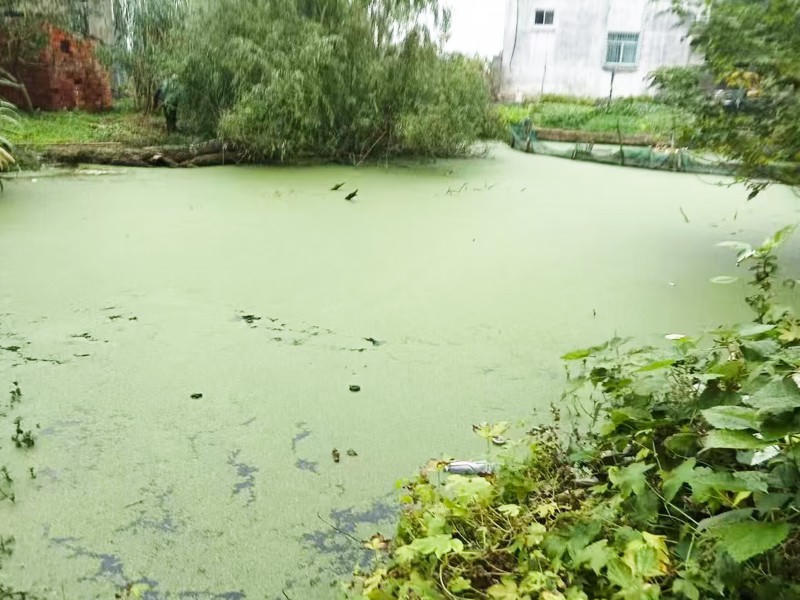 菠菜网最稳定正规平台_最全菠菜网大全