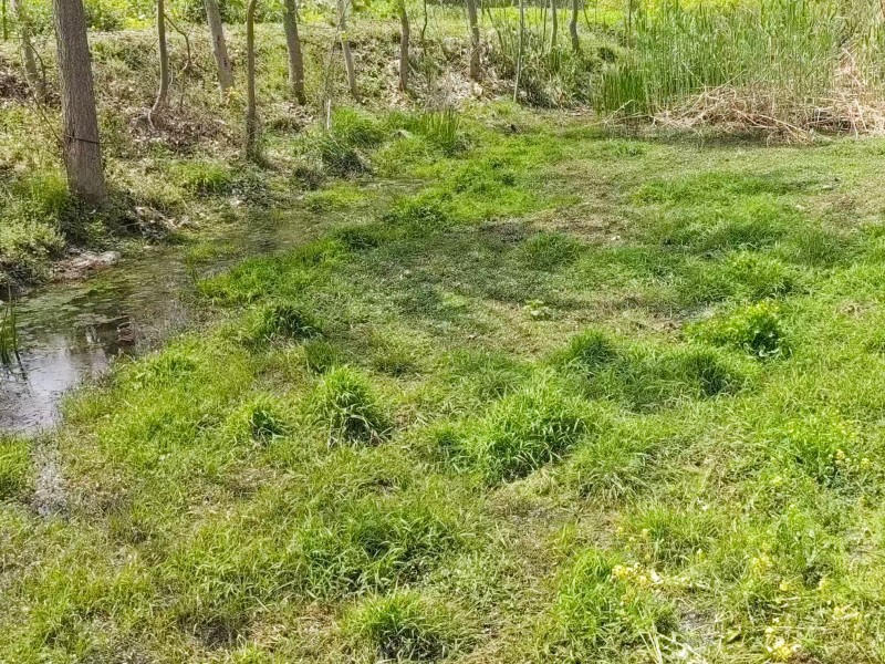 菠菜网最稳定正规平台_最全菠菜网大全