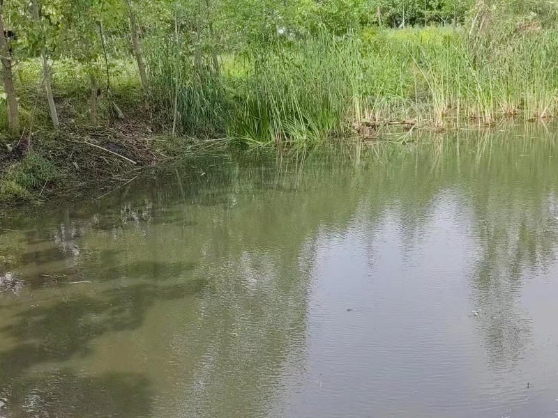 菠菜网最稳定正规平台_最全菠菜网大全