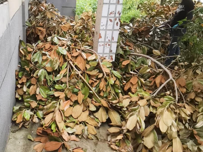 菠菜网最稳定正规平台_最全菠菜网大全