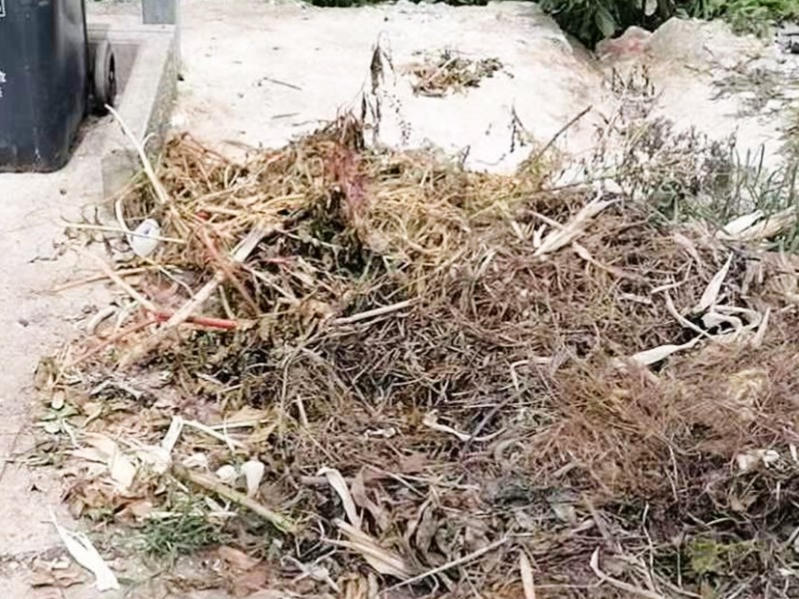 菠菜网最稳定正规平台_最全菠菜网大全