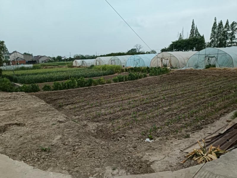 菠菜网最稳定正规平台_最全菠菜网大全