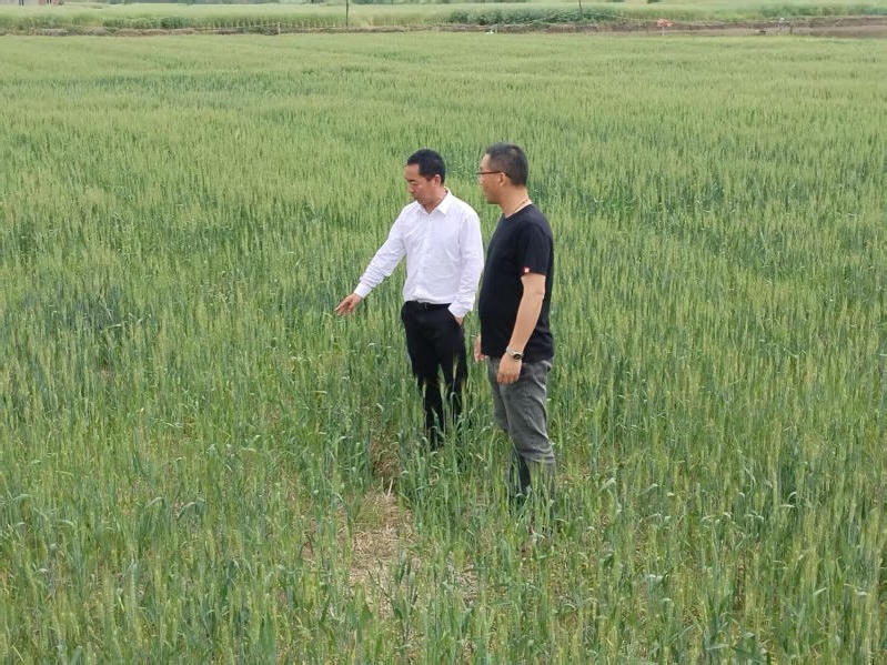 菠菜网最稳定正规平台_最全菠菜网大全