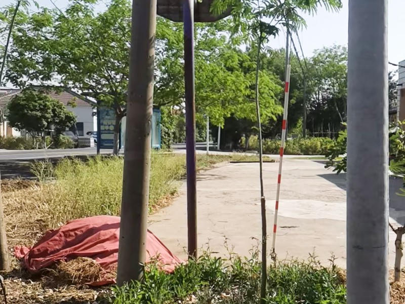 菠菜网最稳定正规平台_最全菠菜网大全