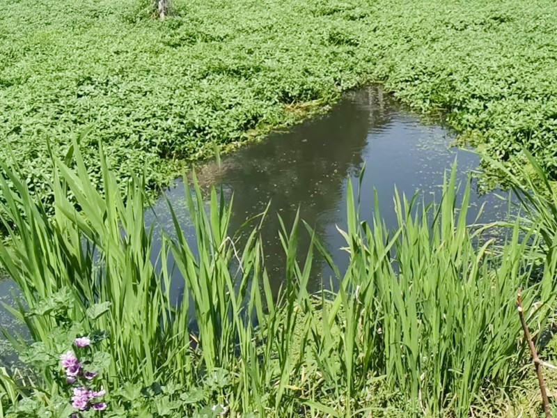 菠菜网最稳定正规平台_最全菠菜网大全