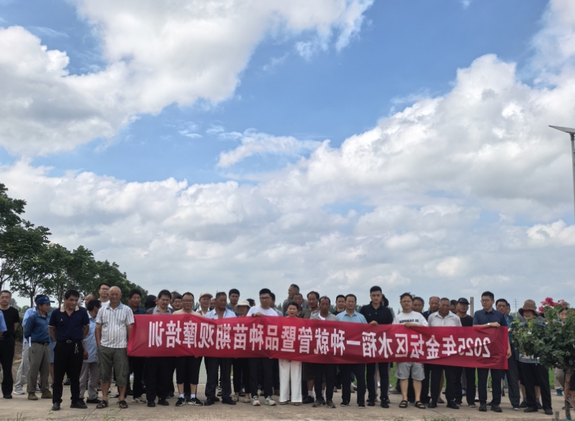 菠菜网最稳定正规平台_最全菠菜网大全