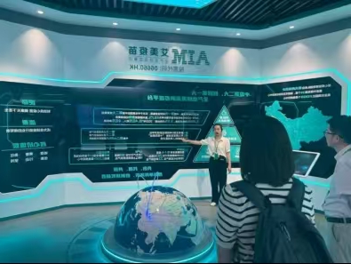 菠菜网最稳定正规平台_最全菠菜网大全