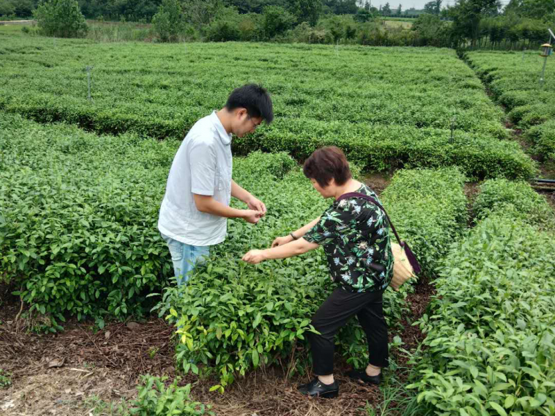 菠菜网最稳定正规平台_最全菠菜网大全