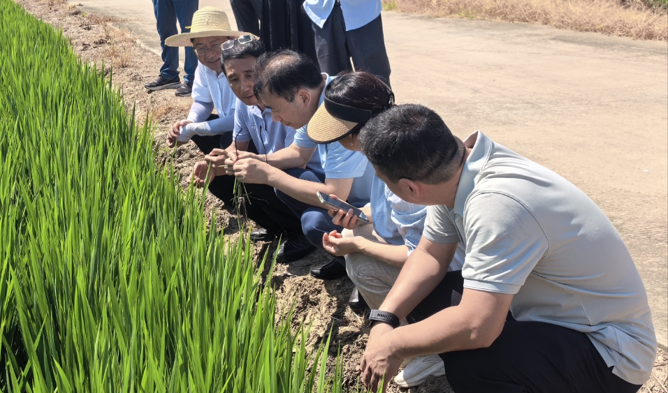 菠菜网最稳定正规平台_最全菠菜网大全