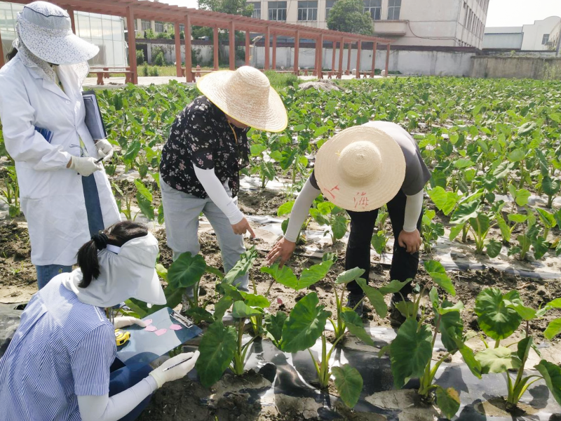 菠菜网最稳定正规平台_最全菠菜网大全