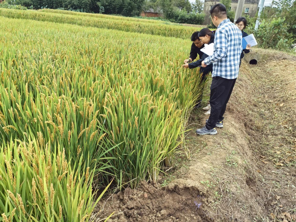 菠菜网最稳定正规平台_最全菠菜网大全