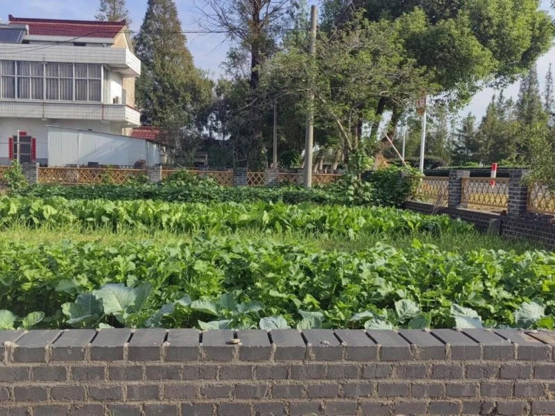 菠菜网最稳定正规平台_最全菠菜网大全