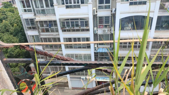 菠菜网最稳定正规平台_最全菠菜网大全