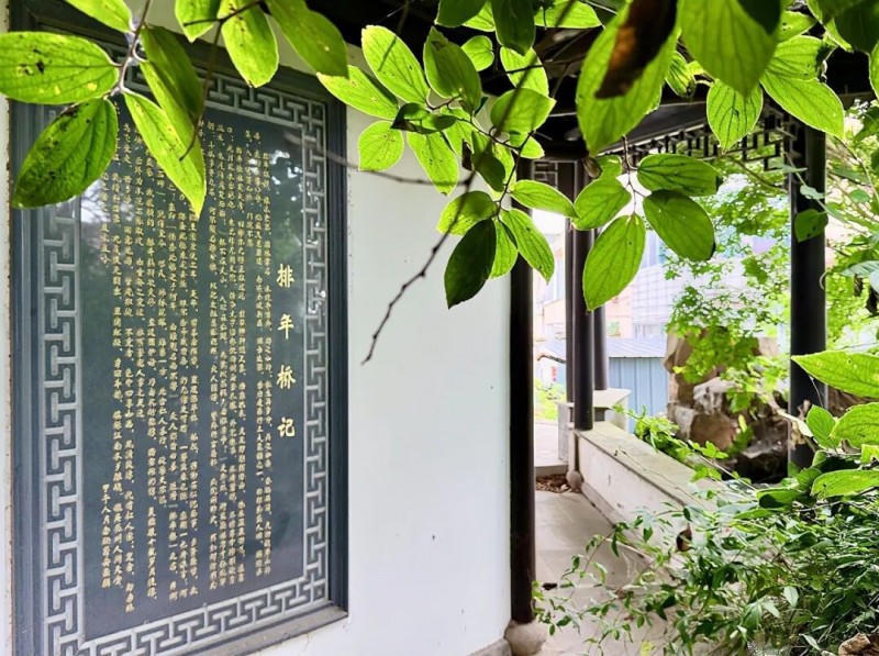 菠菜网最稳定正规平台_最全菠菜网大全